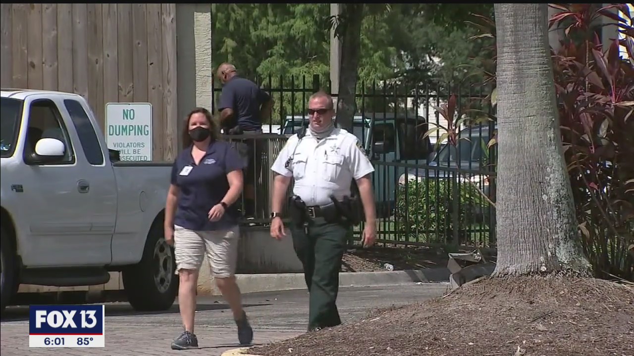 Domestic violence cases on the rise