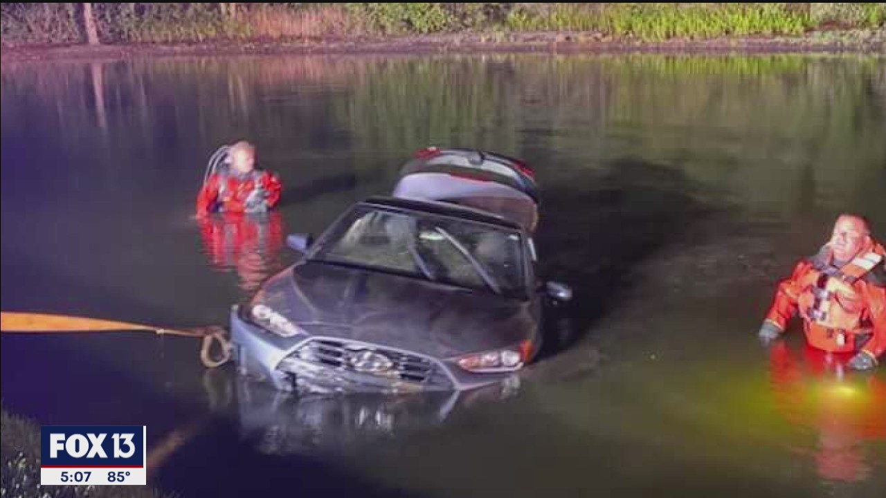 Teens rescue driver, dogs after crash