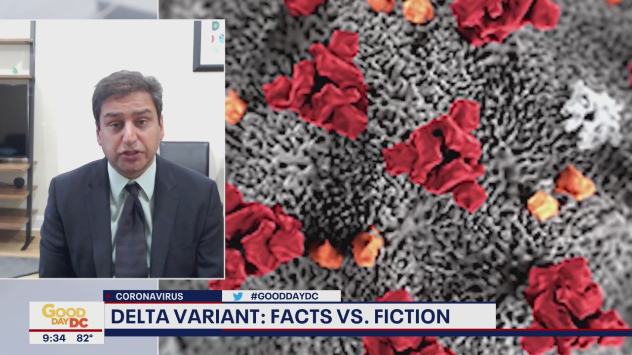 Delta variant: Fact vs. fiction