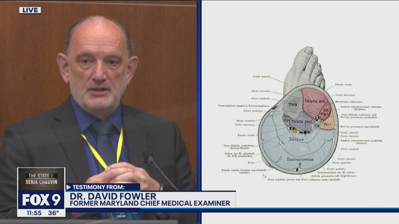 Retired medical examiner explains why he believes kneeling did not contribute to Floyd death