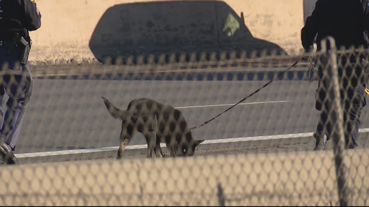 What's behind the Metro Detroit's surge of freeway shootings?