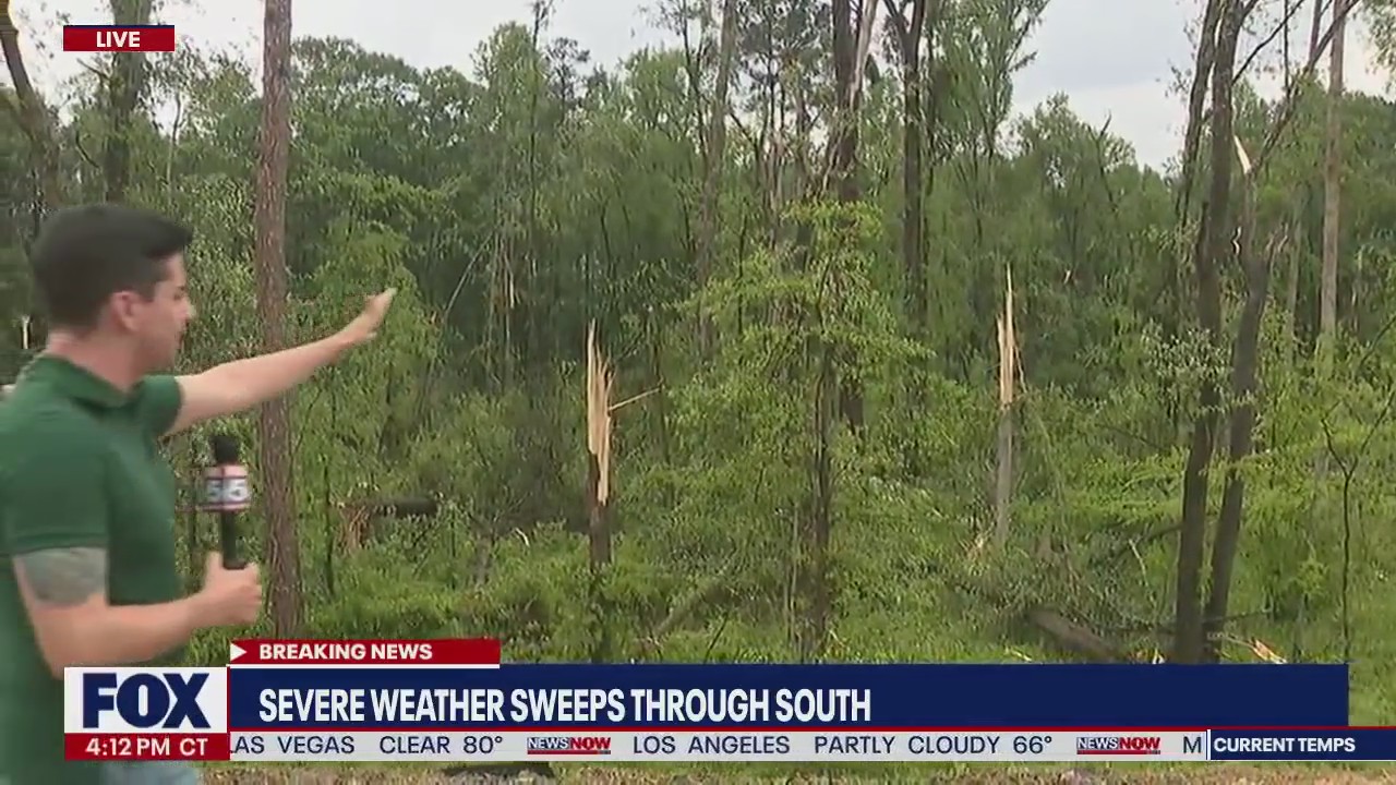 Trees down, debris strewn in Georgia after storm