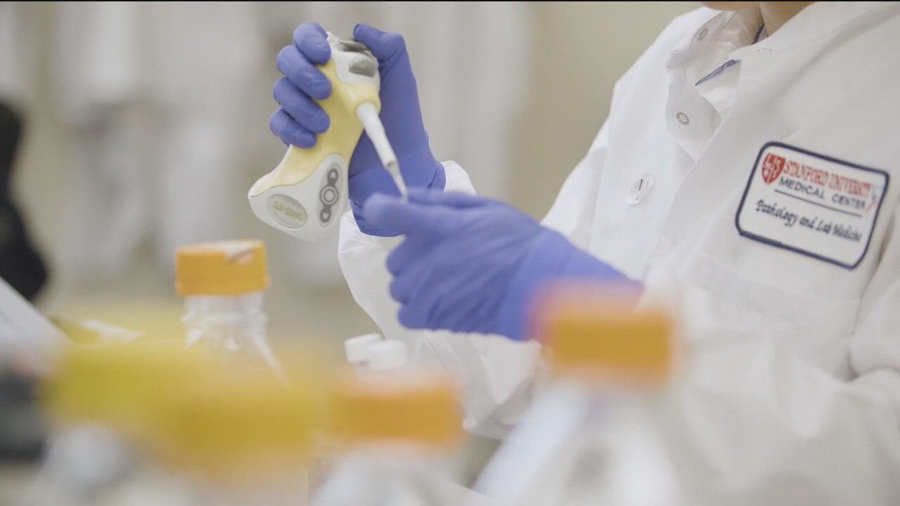 2 coronavirus variants found in the Bay Area