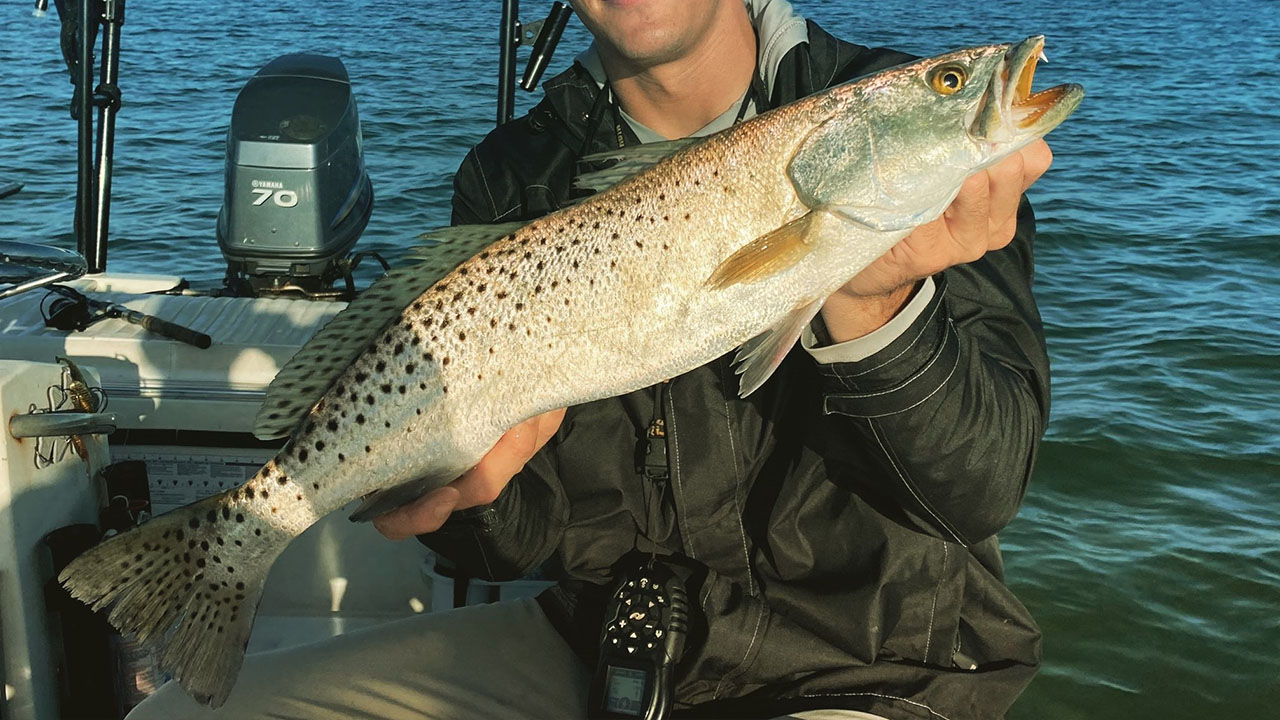 Trout action is picking up inshore