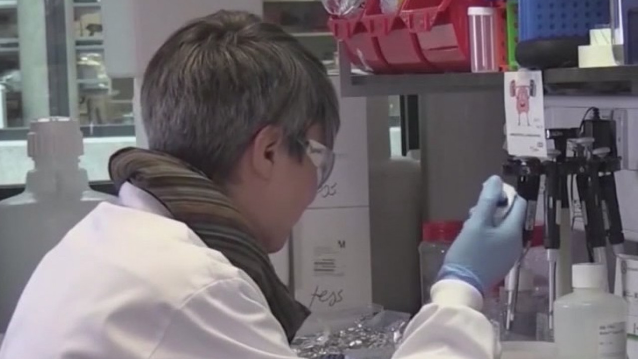 1st coronavirus vaccines expected to arrive