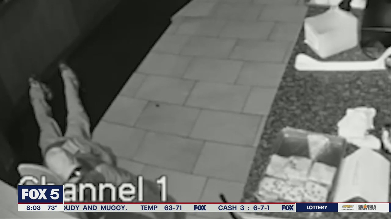 Burglar slithered around Georgia businesses after breaking in, police say