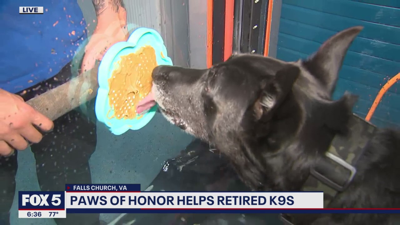 Retired K9 Hero's Foundation and Aquatic Paws help non-profit for K9s