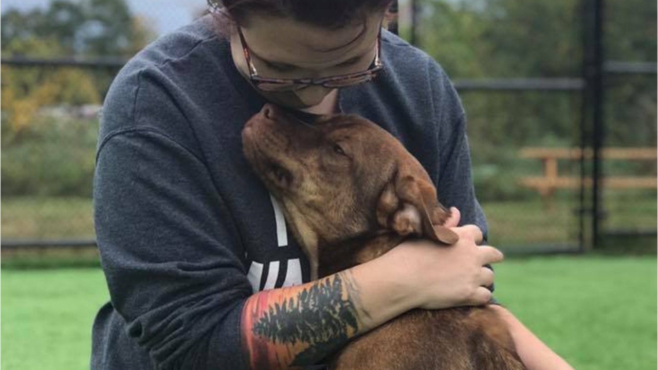'A lot of happy tears': Terminally ill dog adopted by family to fulfill his 'bucket list' adventures