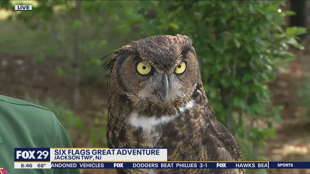 Unique things to try at Six Flags Great Adventure