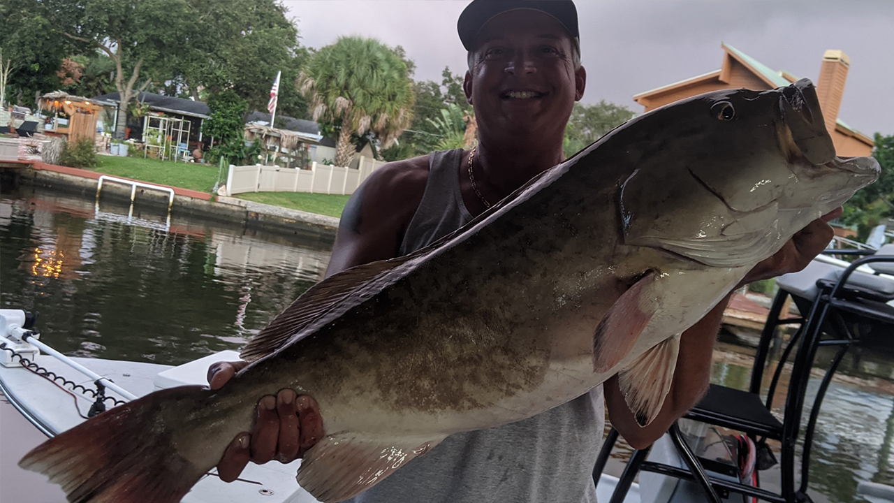 Gag grouper fishing is picking up