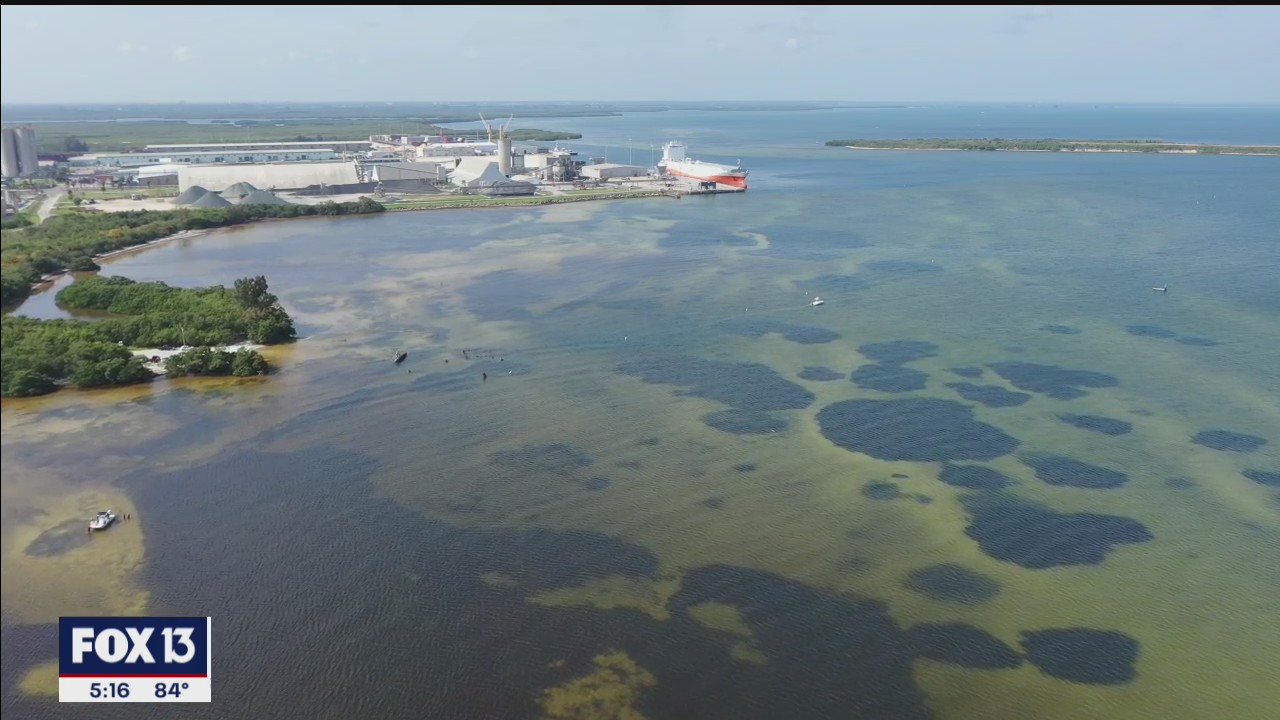 Watching algae blooms after Piney Point water release