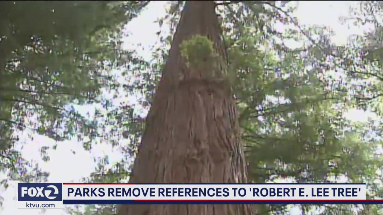 Removing Robert E. Lee references
