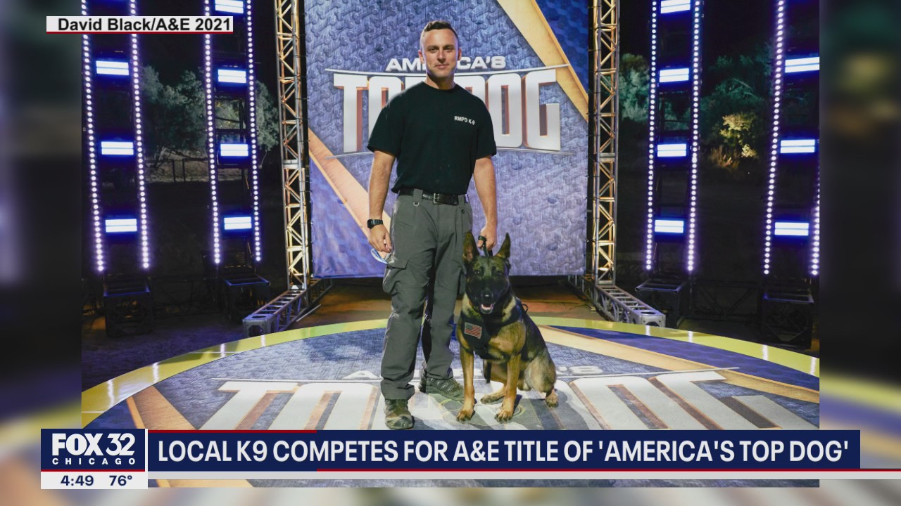 Local K9 competes for title on America's Top Dog