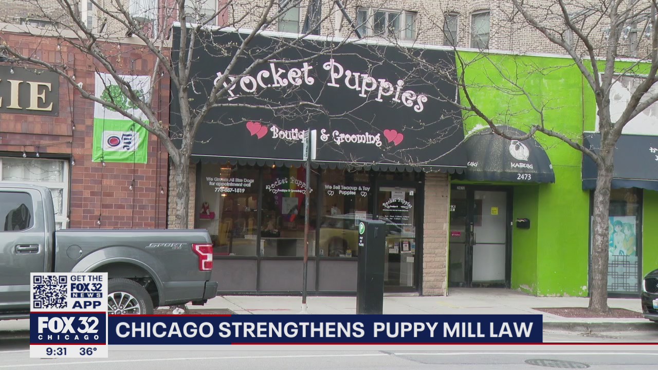 Chicago passes ordinance, strengthening puppy mill law