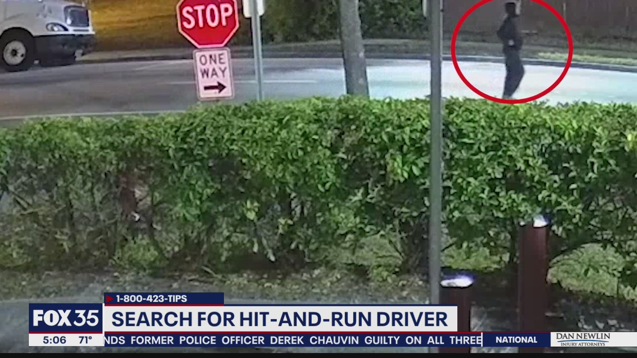 Search for hit-and-run driver continues