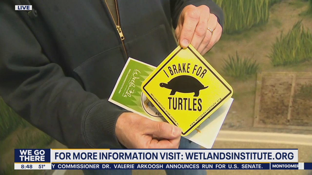 Wetlands Institute offers two aquariums for families to visit