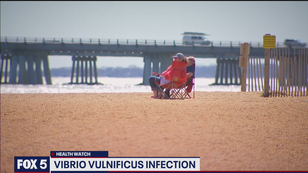 Vibrio vulnificus infection