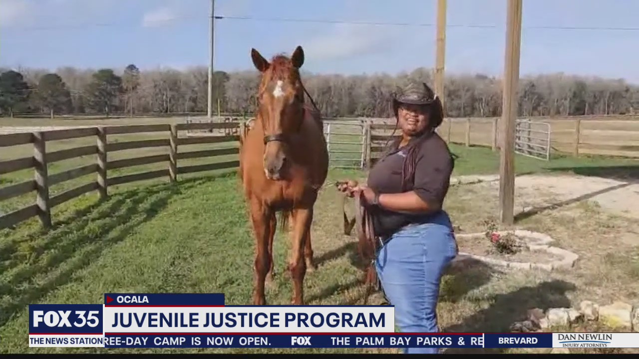 Juvenile justice program offers chance to work with horses