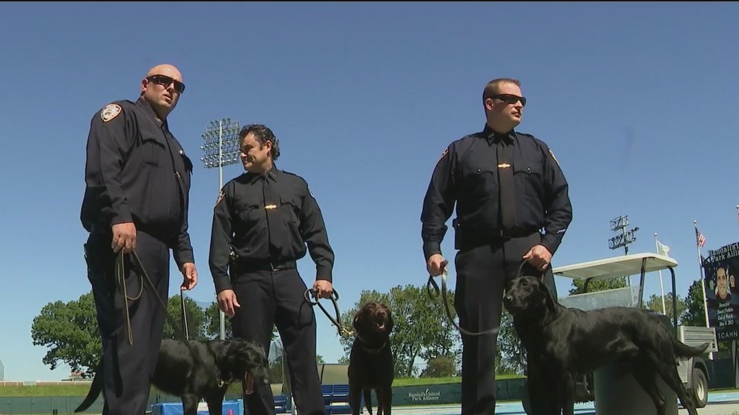 NYPD K9 graduation day