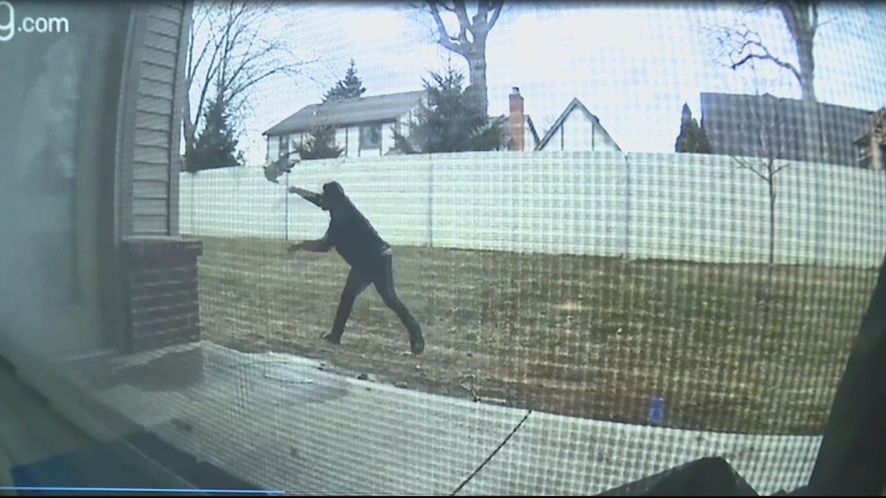 Doorbell camera captures man throwing dog in Utica