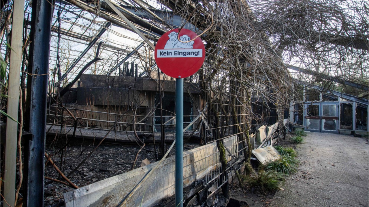 Fire kills more than 30 animals at German zoo