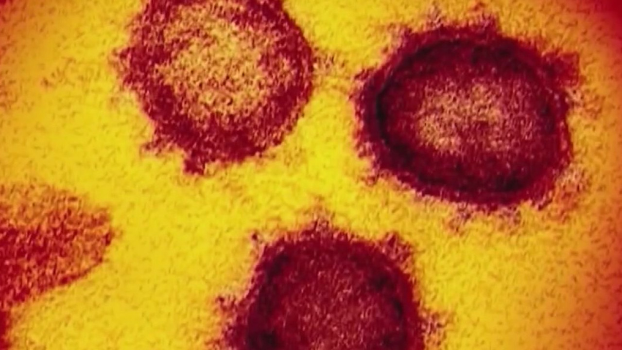 Early spread of COVID-19 appears far greater than initially reported, UT Austin researchers say