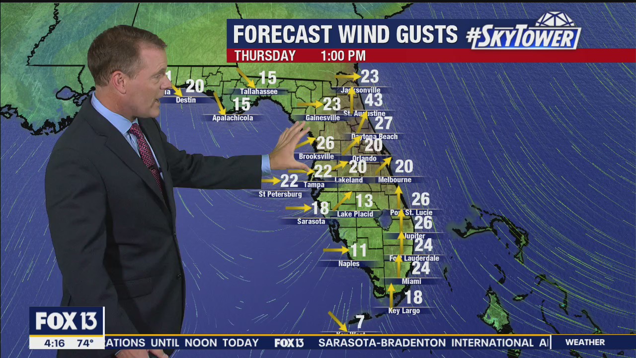 Today's tropics update
