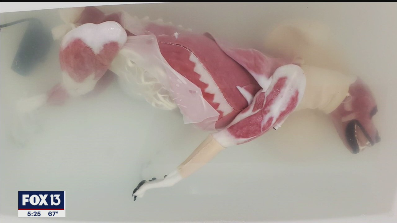 Fake dog cadaver provides real learning experience