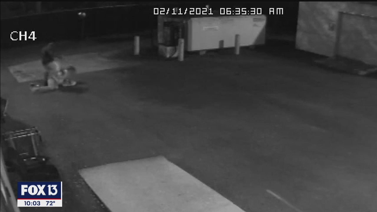 Police look for suspect in beating caught on camera