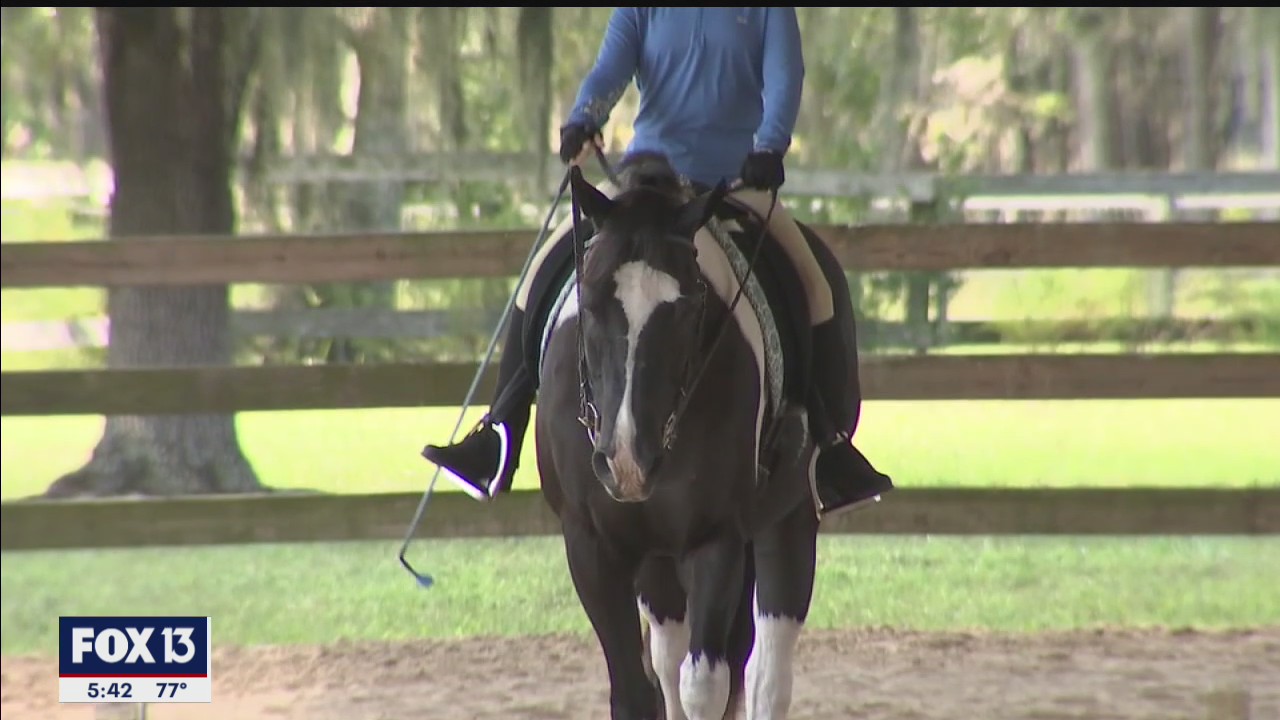 Accomplished para rider aims for Olympics