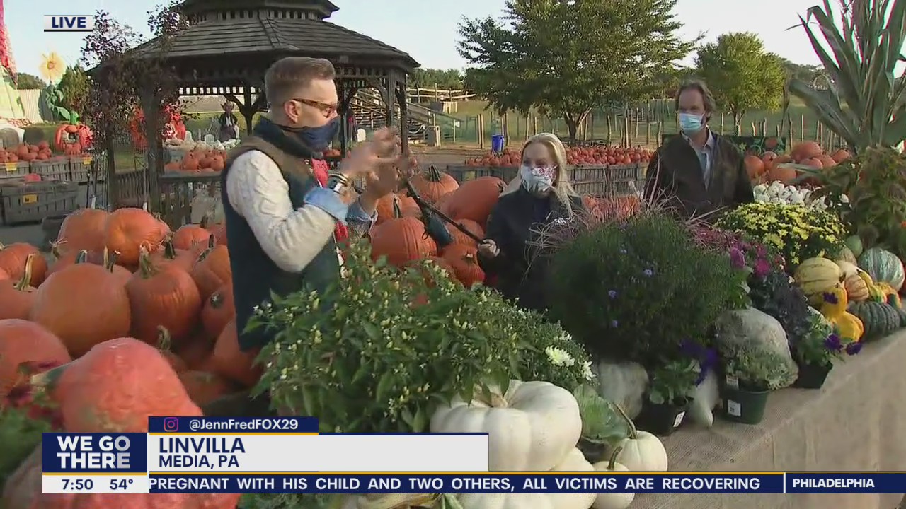 Finding pumpkins and other gourds for decorations