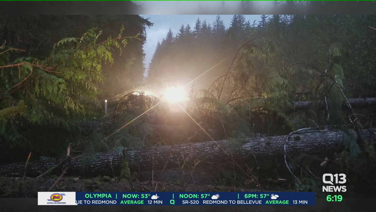 Possible tornado in Grays Harbor County