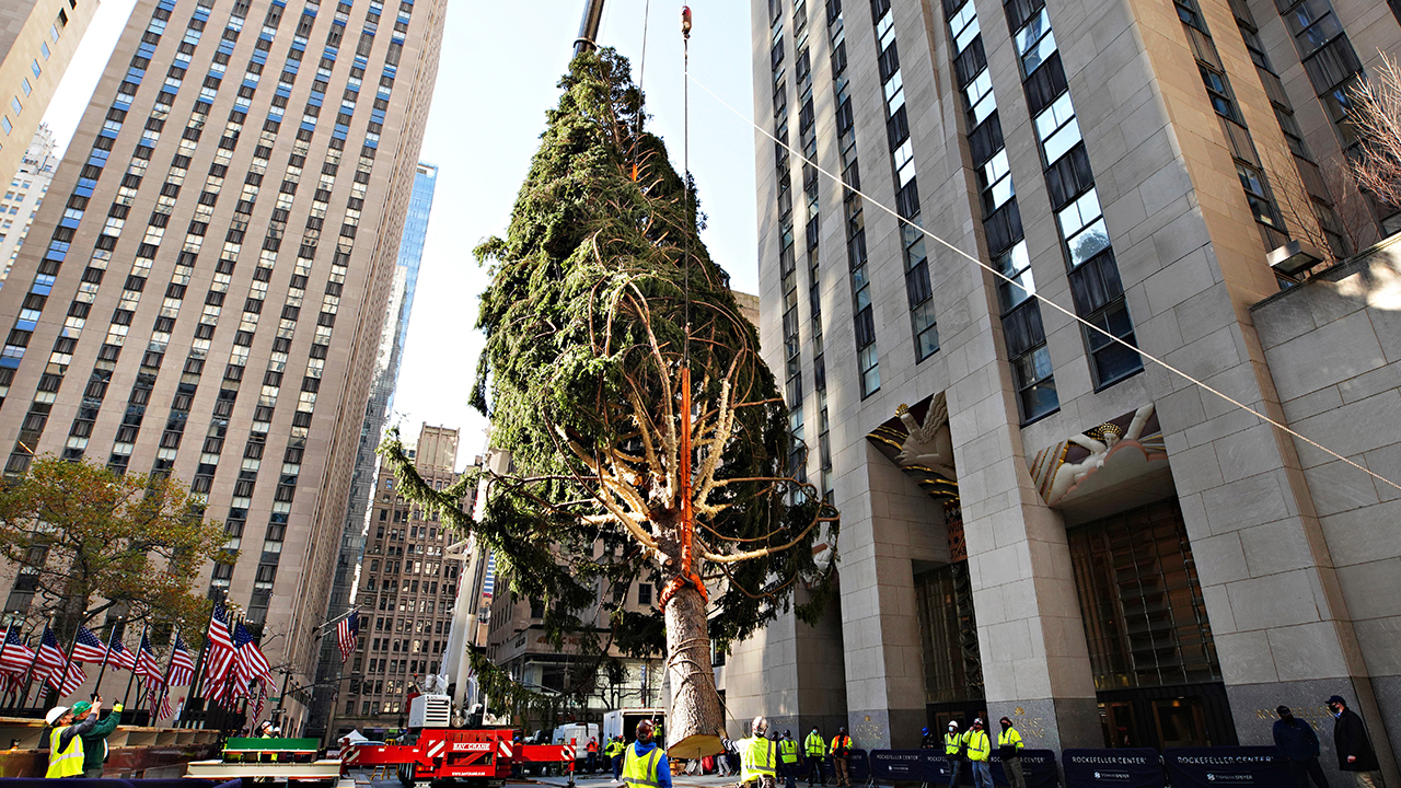 2020 Rockefeller Christmas Tree more reminiscent of 'A Charlie Brown Christmas' tree