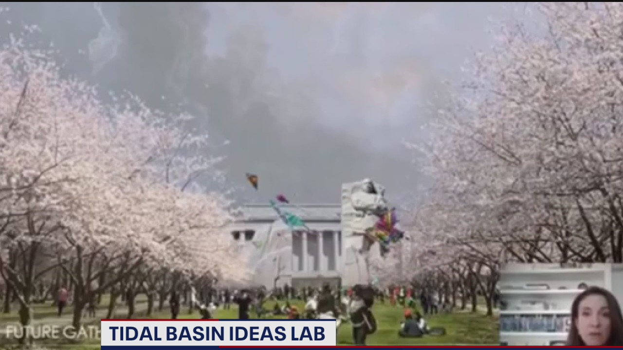 Saving DC’s Tidal Basin focus of new project to keep landmark from being reclaimed by nature