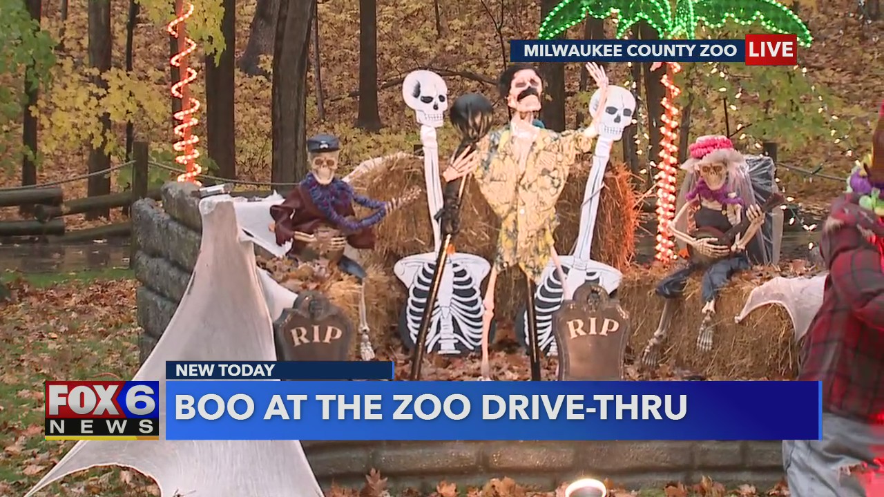 Details on the efforts that go into decorating the entire Zoo for this special event.