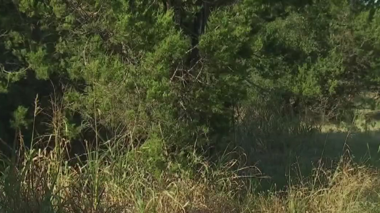 HCSO investigating possible murder-suicide in San Marcos