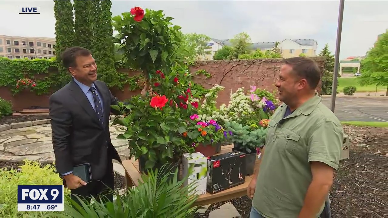 Sprucing up your patio for Memorial Day with Garden Guy Dale K