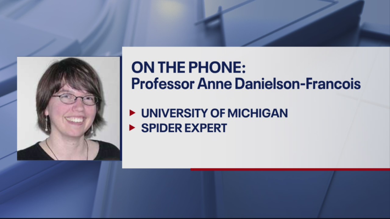 Three venomous spiders found in U-M Shapiro Library