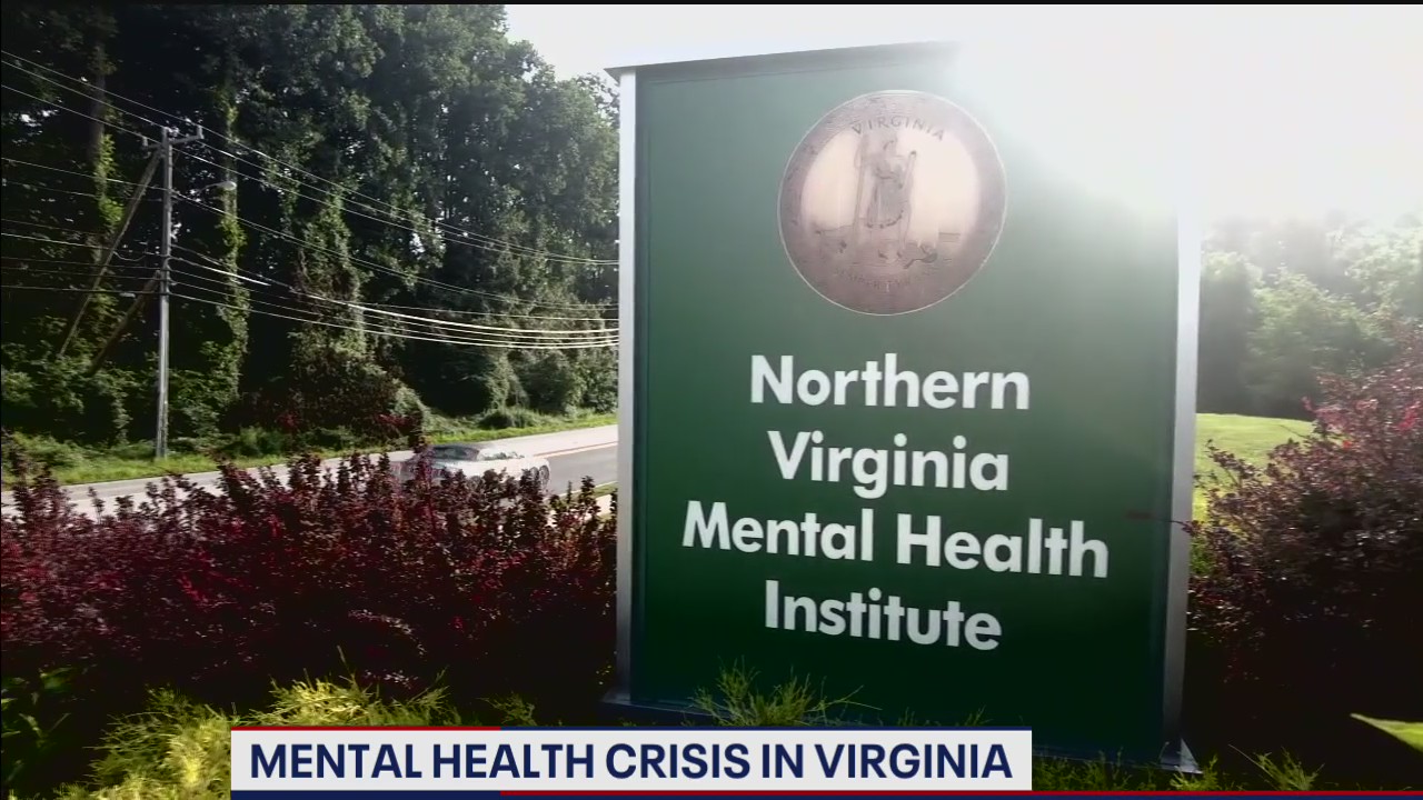 Mental health crisis in Virginia