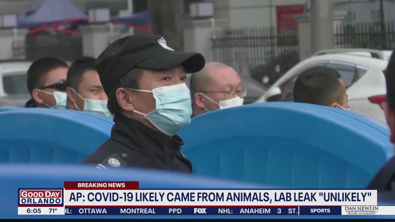 WHO report says animals likely source of COVID-19, Associated Press says