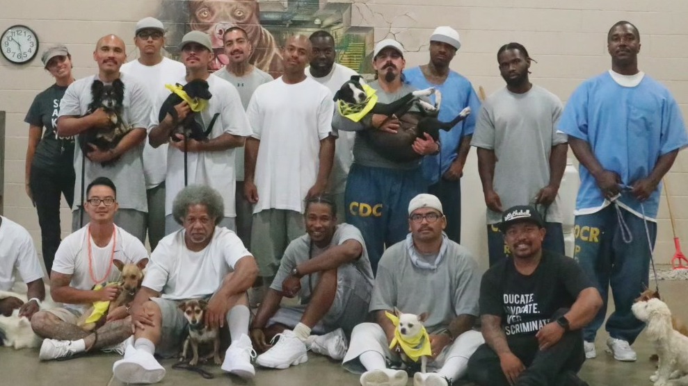 Learn about the California program making 'pawsitive' changes