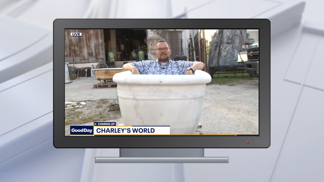 Good Day Goodies: May 7, 2021