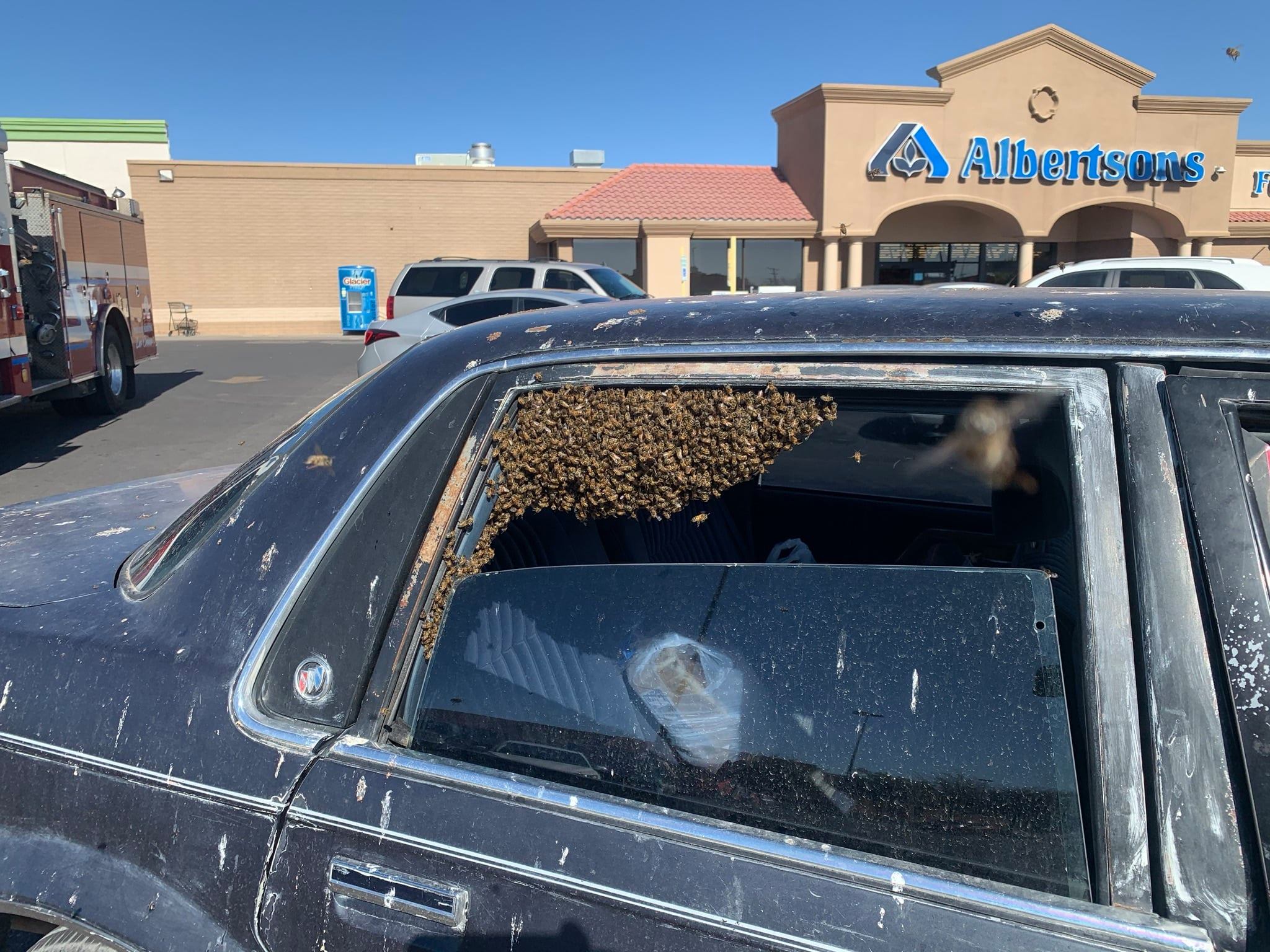 Thousands of bees swarm parked car at New Mexico grocery store