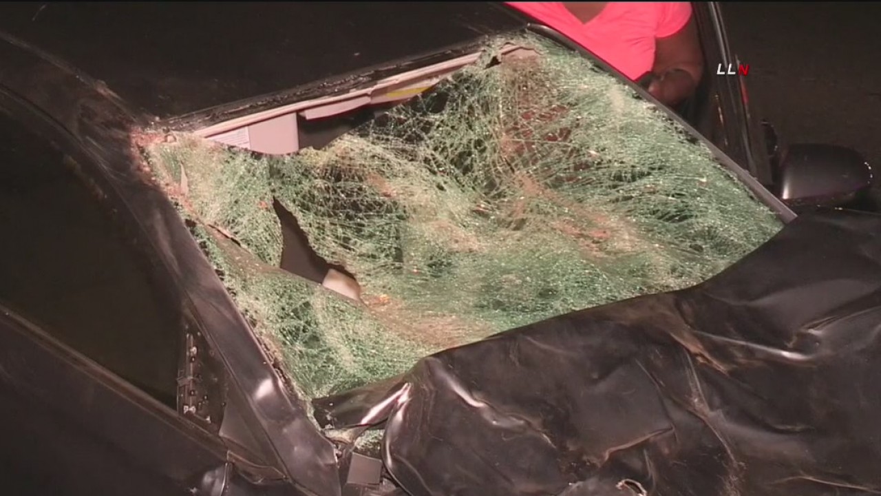 Donkeys fatally struck by vehicles on 215 Freeway in Riverside