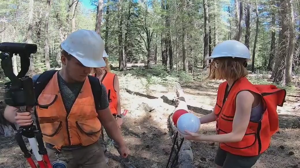 NAU research team determined to return Arizona forest to its former glory