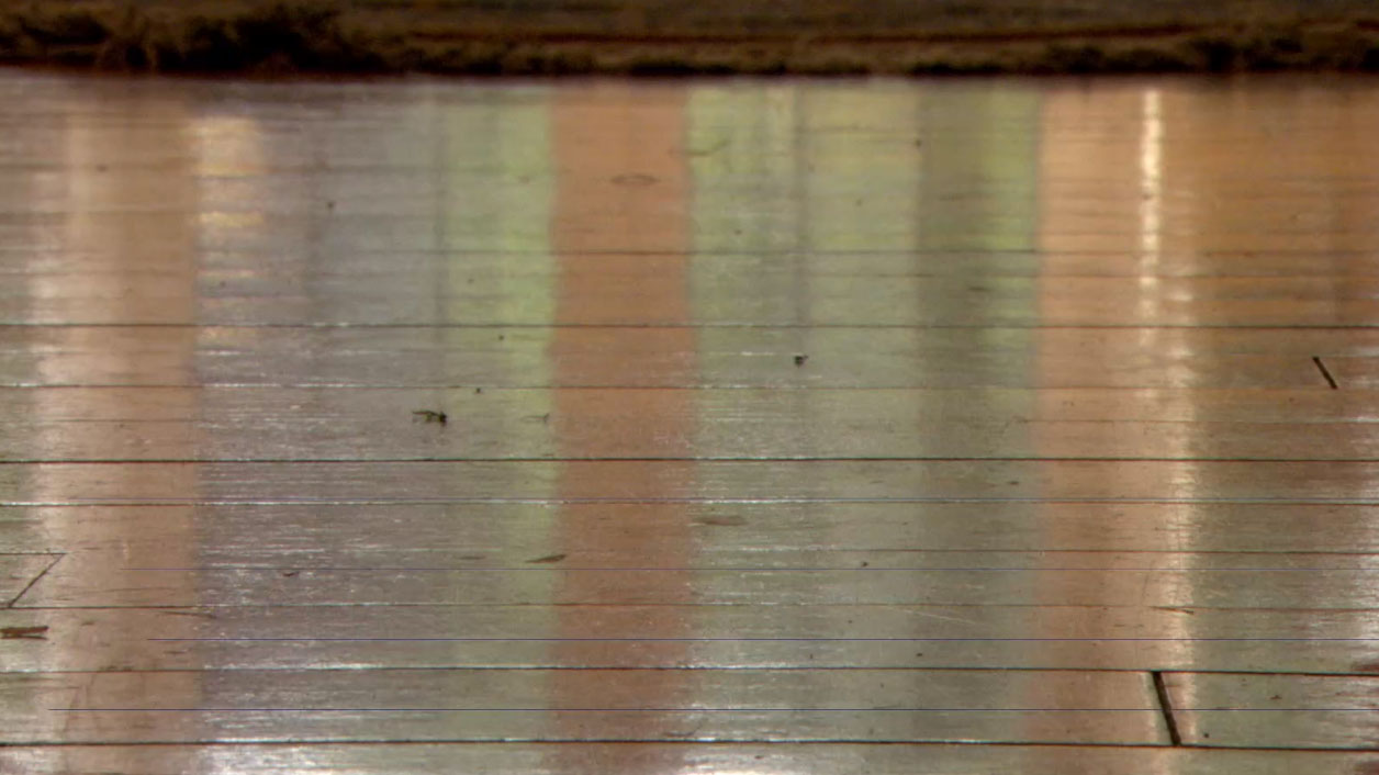 Pair charged after kids found in bug-infested home