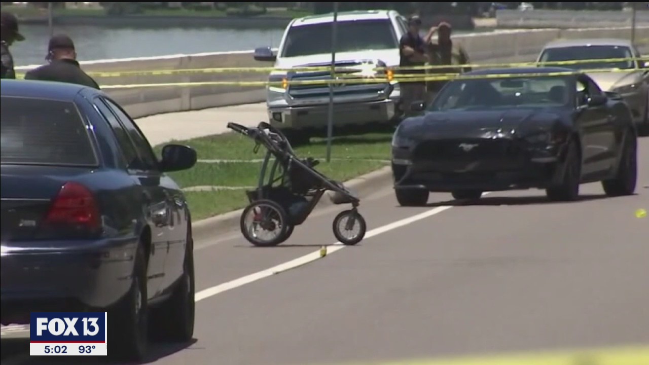 Possible reasons for Bayshore driver's appeal