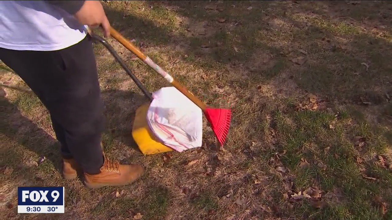 City of Plymouth encourages residents to call 911 on people who leave behind dog droppings