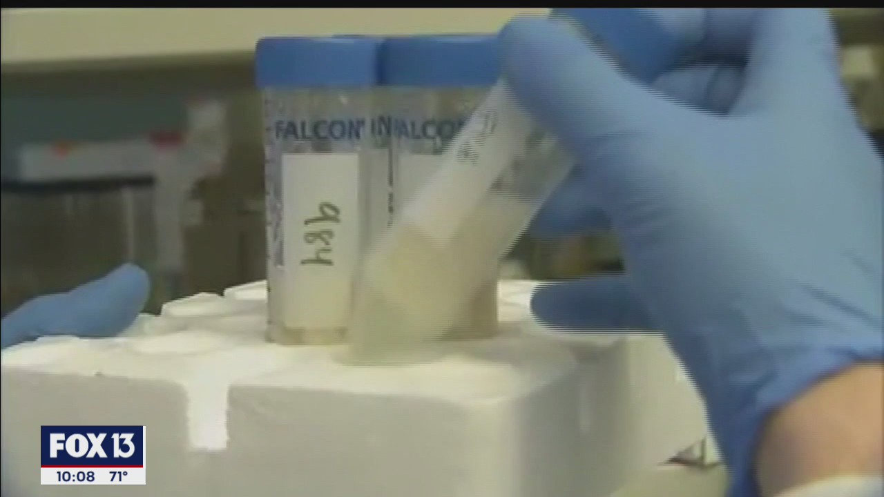 FDA approves therapeutic drug that was given to President Trump