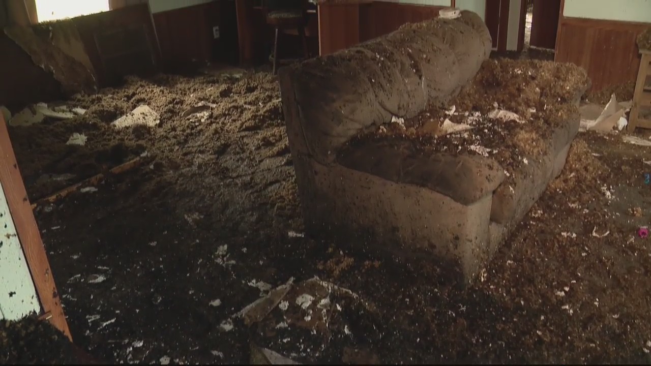 Community rallies around single mother who lost everything in house fire
